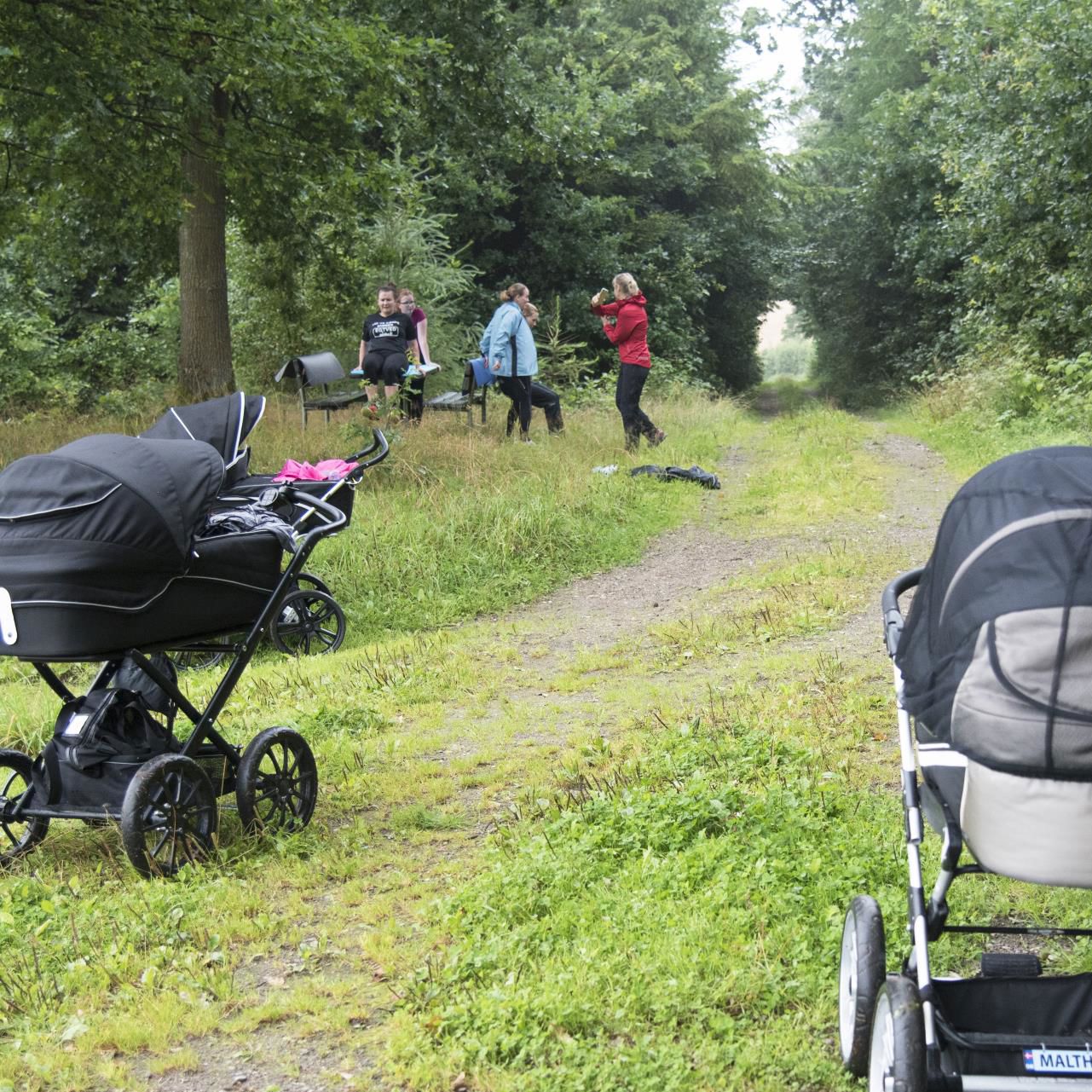 Mødregruppe på tur i skoven