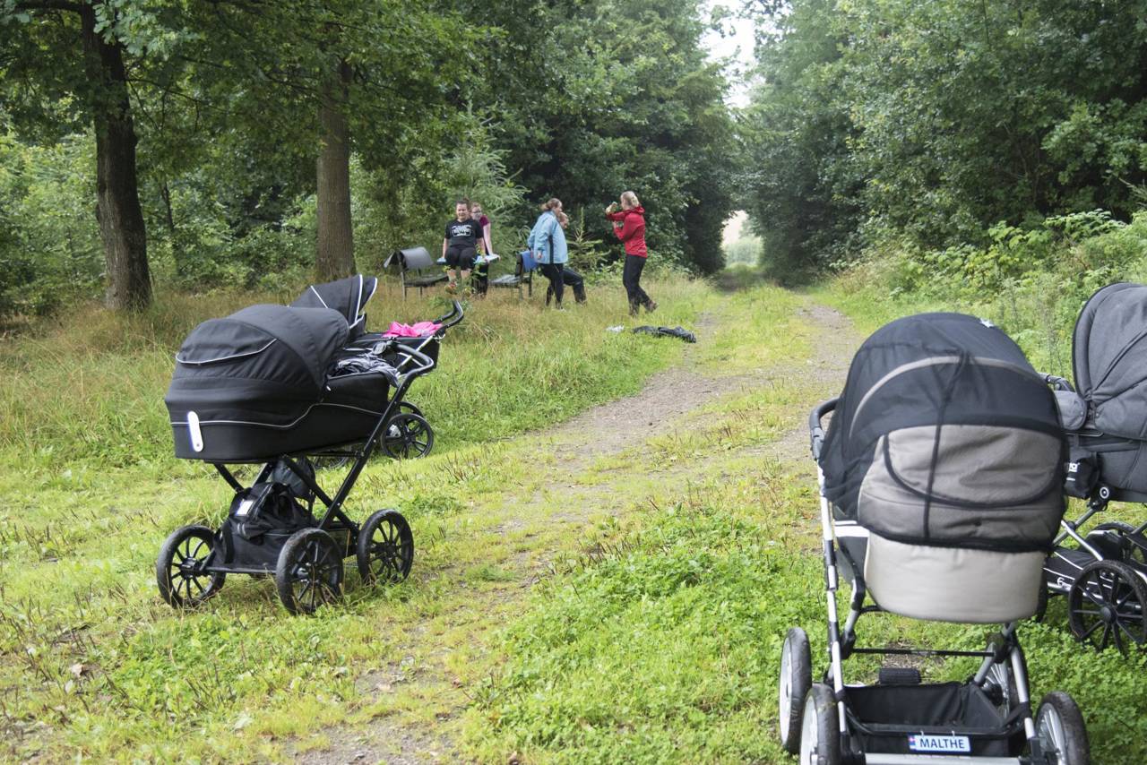 Mødregruppe på tur i skoven